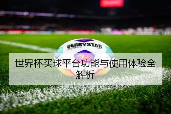 世界杯买球平台功能与使用体验全解析