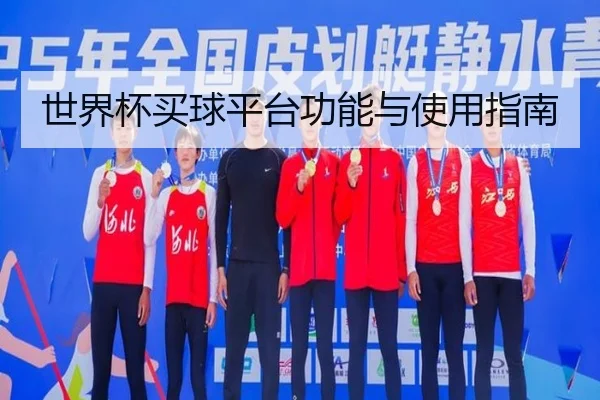 世界杯买球平台功能与使用指南