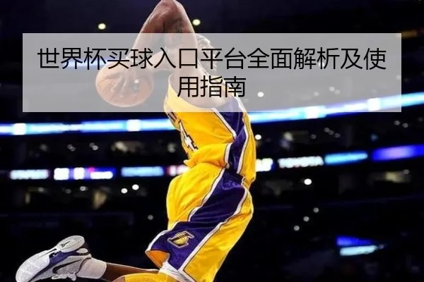 世界杯买球入口平台全面解析及使用指南