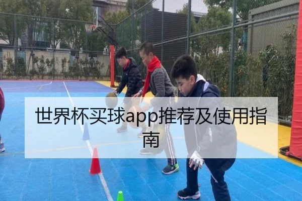 世界杯买球app推荐及使用指南