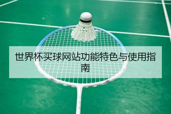 世界杯买球网站功能特色与使用指南