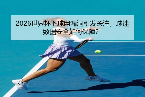 2026世界杯下球网漏洞引发关注，球迷数据安全如何保障？